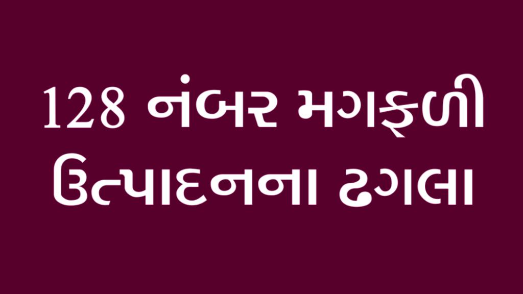 128 નંબર મગફળી