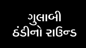 રાજ્યમાં ગુલાબી ઠંડીનો