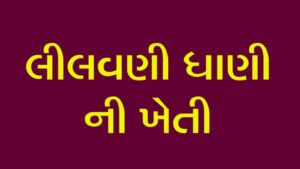 Read more about the article ધાણી ની ખેતી : લીલવણી ધાણી બનાવવાની રીત
